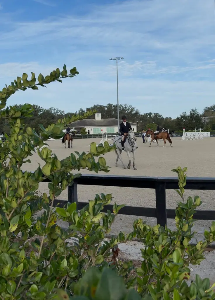 World Equestrian Center