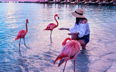 5 beautiful places to explore in Aruba