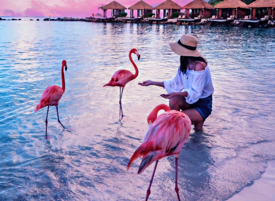 5 beautiful places to explore in Aruba